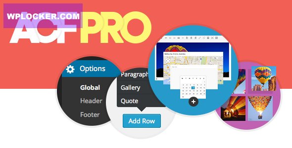 Advanced Custom Fields Pro v6.8.6