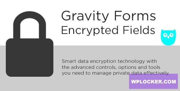 Gravity Forms Encrypted Fields v6.0