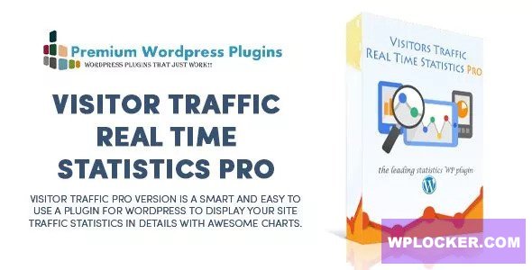 Visitor Traffic Real Time Statistics Pro v11.11