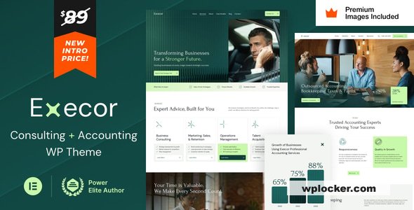 Execor v21 - Accounting and Management Consulting WordPress Theme